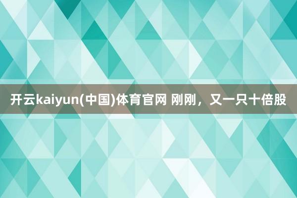 开云kaiyun(中国)体育官网 刚刚，又一只十倍股