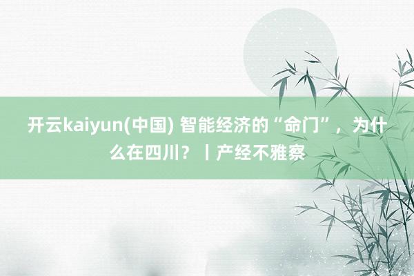 开云kaiyun(中国) 智能经济的“命门”，为什么在四川？丨产经不雅察
