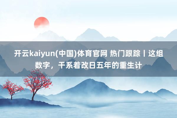开云kaiyun(中国)体育官网 热门跟踪丨这组数字，<a href=