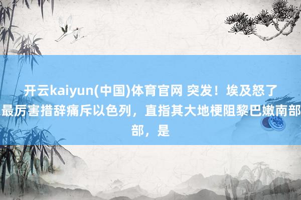 开云kaiyun(中国)体育官网 突发！埃及怒了，以最厉害措辞痛斥以色列，直指其大地梗阻黎巴嫩南部，是