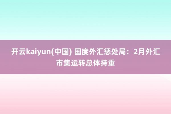 开云kaiyun(中国) 国度外汇惩处局：2月外汇市集运转总体持重