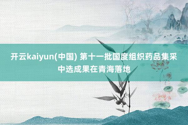 开云kaiyun(中国) 第十一批国度组织药品集采中选成果在青海落地