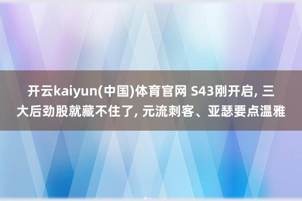 开云kaiyun(中国)体育官网 S43刚开启， 三大后劲股就藏不住了， 元流刺客、亚瑟要点温雅