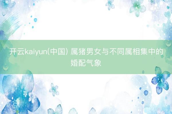 开云kaiyun(中国) 属猪男女与不同属相集中的婚配气象