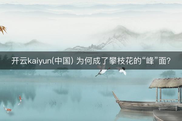 开云kaiyun(中国) 为何成了攀枝花的“峰”面？