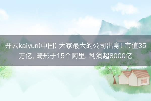 开云kaiyun(中国) 大家最大的公司出身! 市值35万亿， 畸形于15个阿里， 利润超8000亿