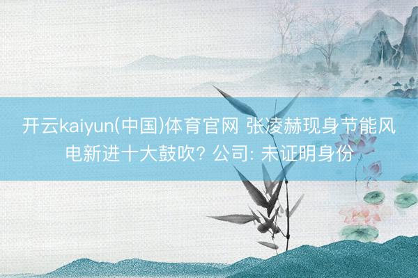 开云kaiyun(中国)体育官网 张凌赫现身节能风电新进十大鼓吹? 公司: 未证明身份
