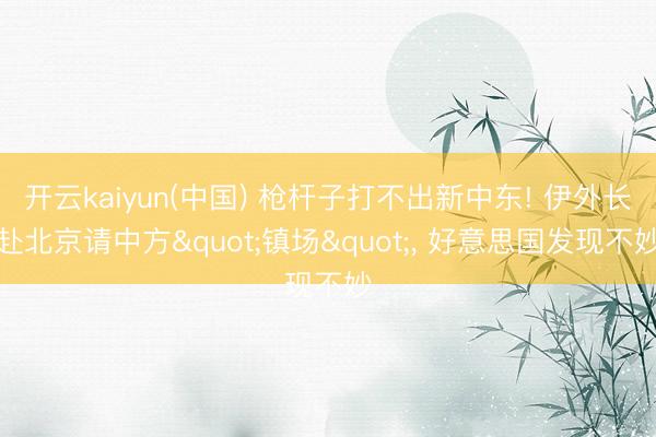 开云kaiyun(中国) 枪杆子打不出新中东! 伊外长赴北京请中方"镇场"， 好意思国发现不妙