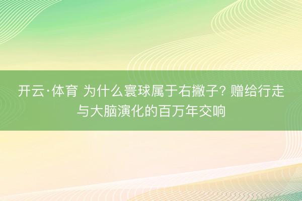 开云·体育 为什么寰球属于右撇子? 赠给行走与大脑演化的百万年交响