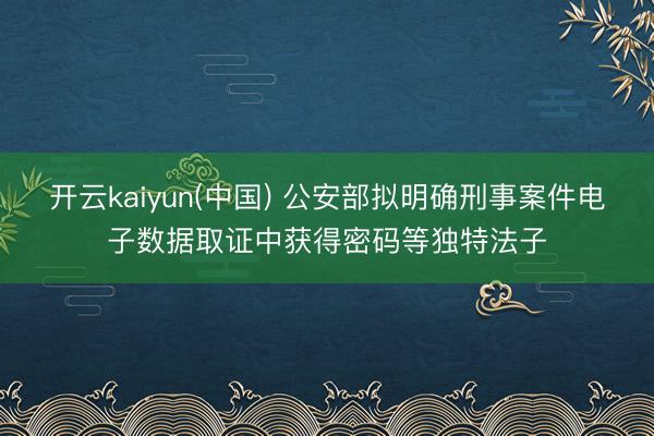 开云kaiyun(中国) 公安部拟明确刑事案件电子数据取证中获得密码等独特法子