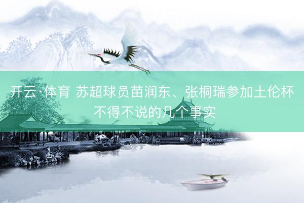 开云·体育 苏超球员苗润东、张桐瑞参加土伦杯 不得不说的几个事实