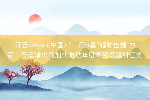 开云kaiyun(中国) “一箭8星”辐射告捷 力箭一号运输火箭加快激动年度高密度辐射任务