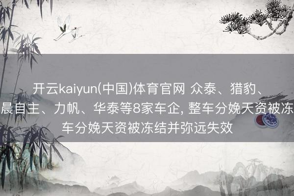 开云kaiyun(中国)体育官网 众泰、猎豹、一汽夏利、华晨自主、力帆、华泰等8家车企， 整车分娩天资被冻结并弥远失效